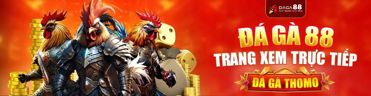 Đá gà trực tuyến Win55 Áp