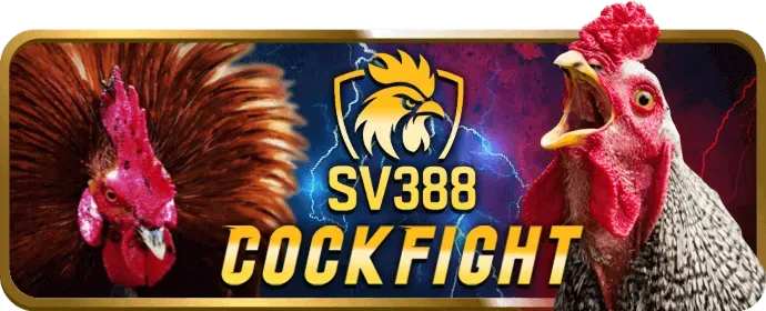 Hỗ trợ trực tuyến Win55 Áp